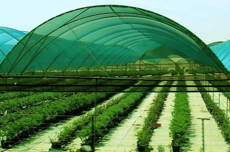 Shade-Nets-Protect-Crops